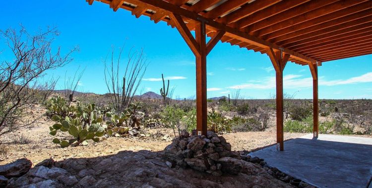 pest control services in catalina foothills, az