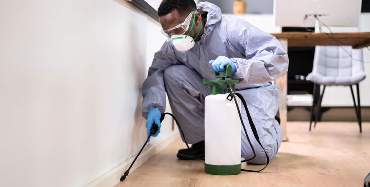a person doing pest control