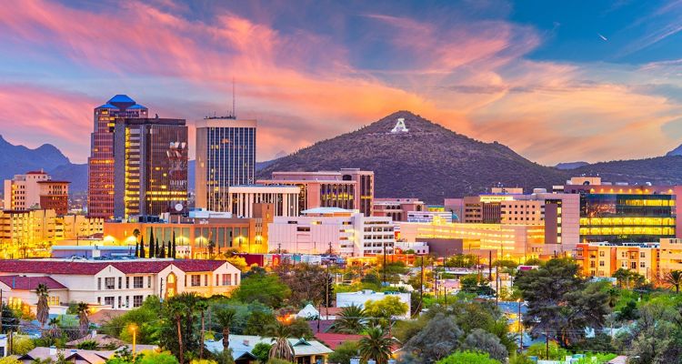 home pest control services in cataline foothills