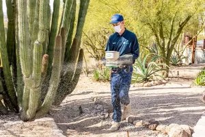 Pest Control Treatment Tucson, AZ