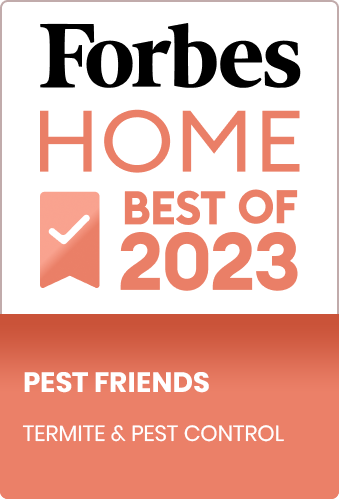 How Do You Get Rid Of Spiders? – Forbes Home