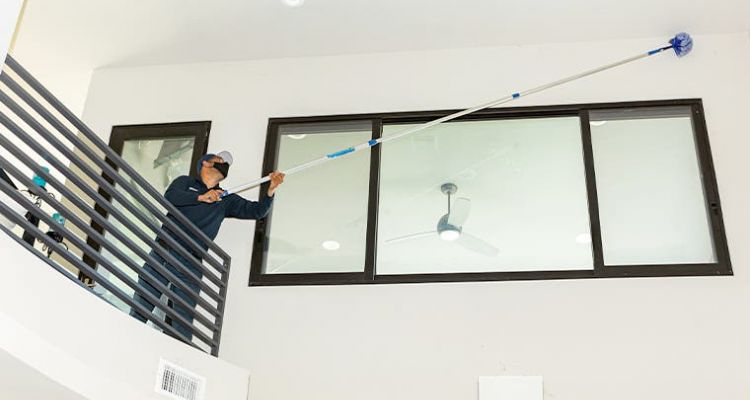 spider control in tucson
