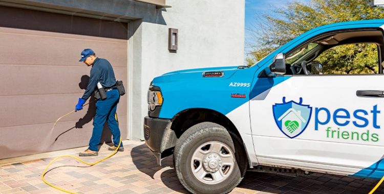 Can Pest Control Get Rid of Ants for Good?