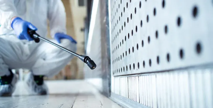 Pest Control Tips for Keeping your Tucson Business Bug Free