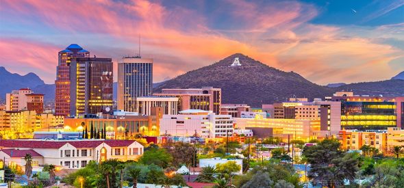 home pest control services in cataline foothills