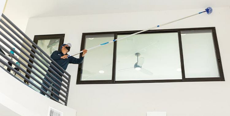 spider control in tucson