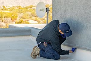 Pest Control Inspection Tucson, AZ