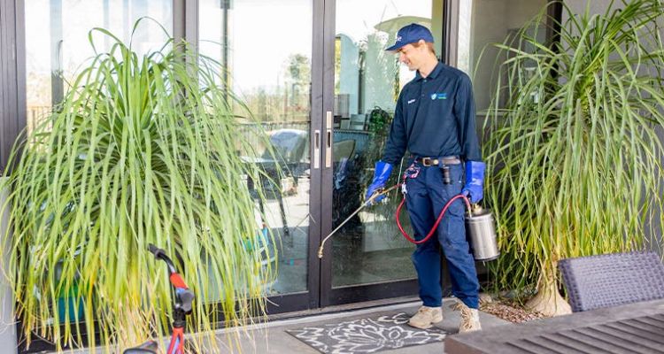 tick control in Tucson