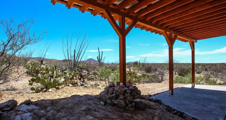 pest control services in catalina foothills, az